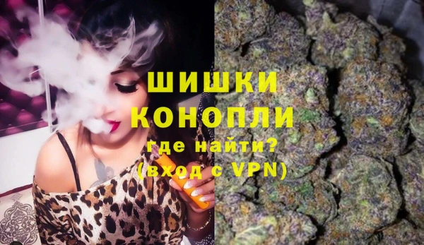 молекула духа Навашино