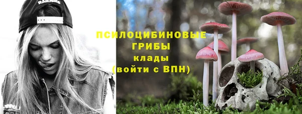 молекула духа Навашино