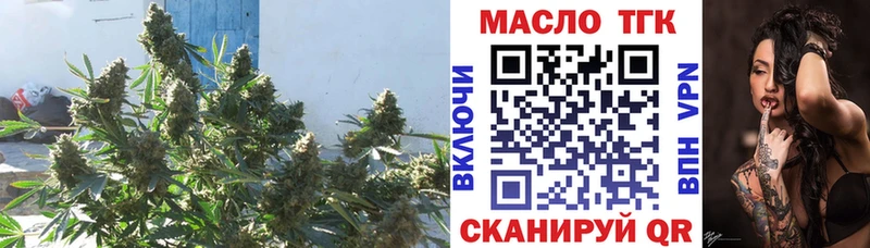omg онион  Дмитров  Дистиллят ТГК Wax 