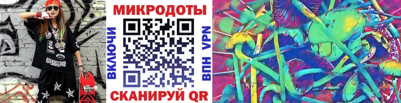 Псилоцибиновые грибы Psilocybine cubensis Дмитров