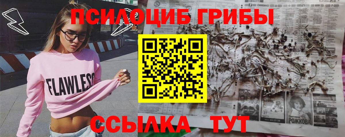 Псилоцибиновые грибы ЛСД  Дмитров  Галлюциногенные грибы ЛСД 