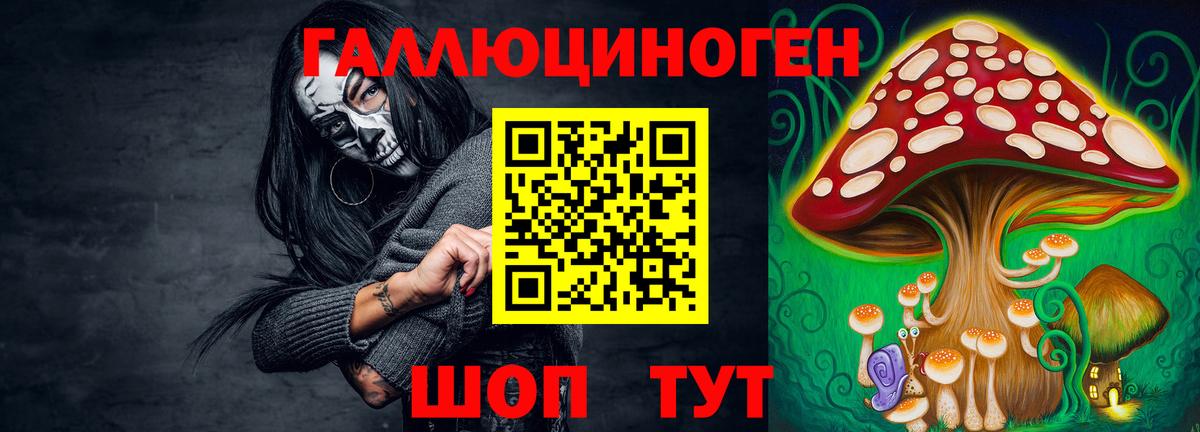 Псилоцибиновые грибы GOLDEN TEACHER Дмитров