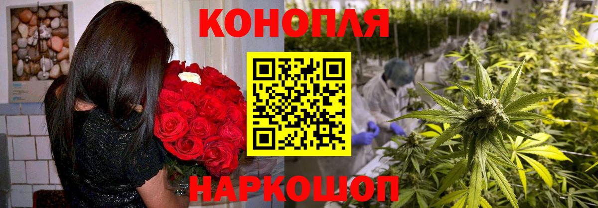 Бошки Шишки план  Каннабис ГИДРОПОН  Вход с VPN  Дмитров  МАРИХУАНА гибрид 